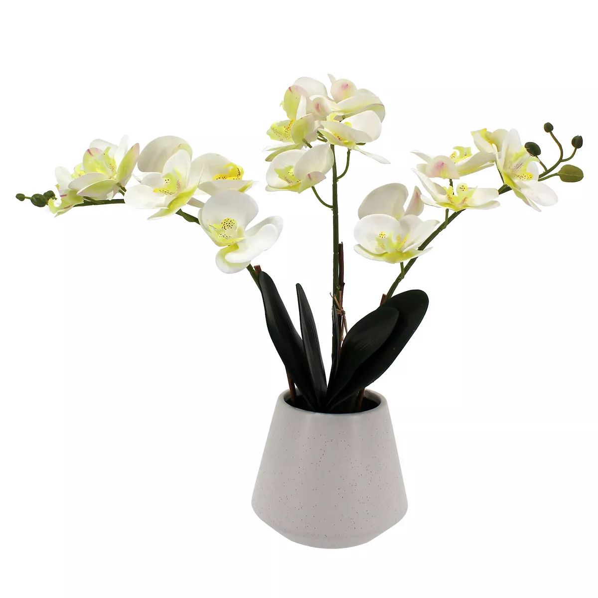 Sonoma Goods For Life® Potted Artificial White Orchid Floral Arrangement Floor Decor | Kohl's