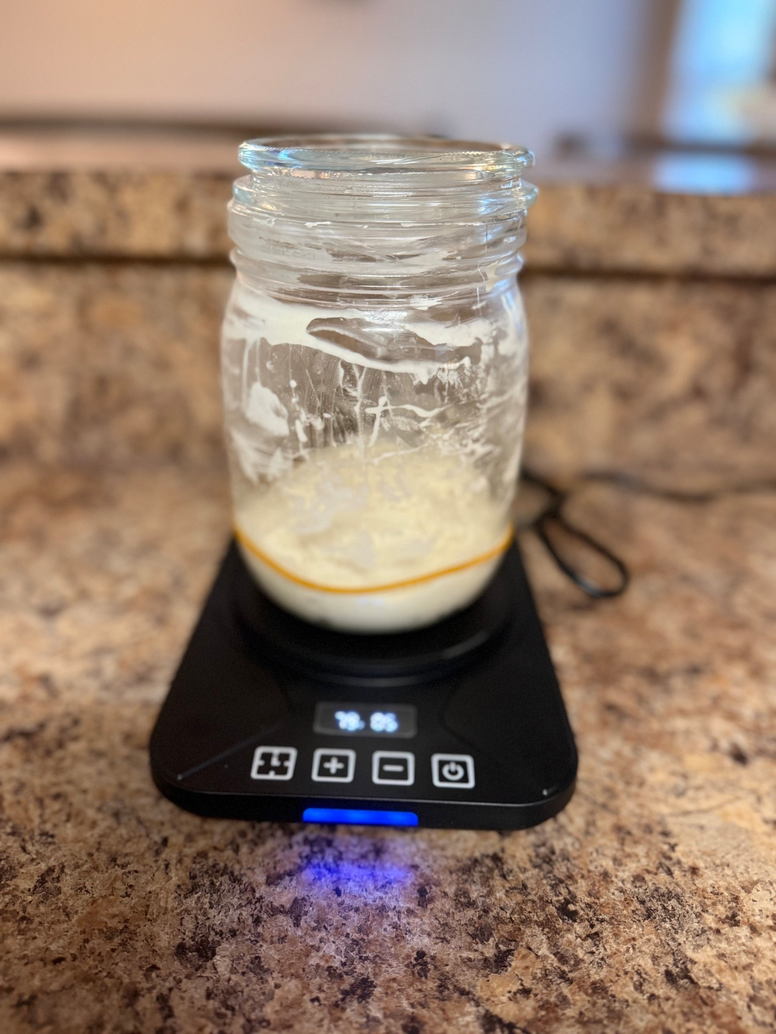 sourdough essentials you didn’t know you needed! 

#LTKHoliday #LTKGiftGuide #LTKfoodie