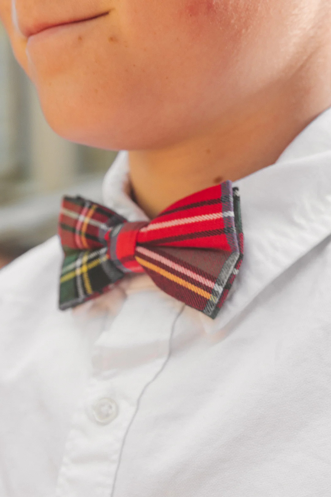 Holiday Plaid Bow Tie | Ivy City Co