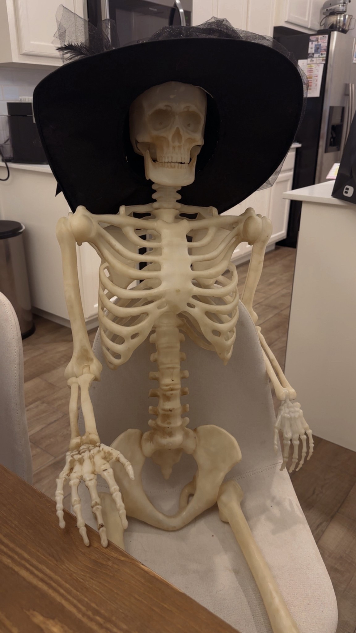 Buddy the skeleton 💀

#LTKSeasonal #LTKHalloween