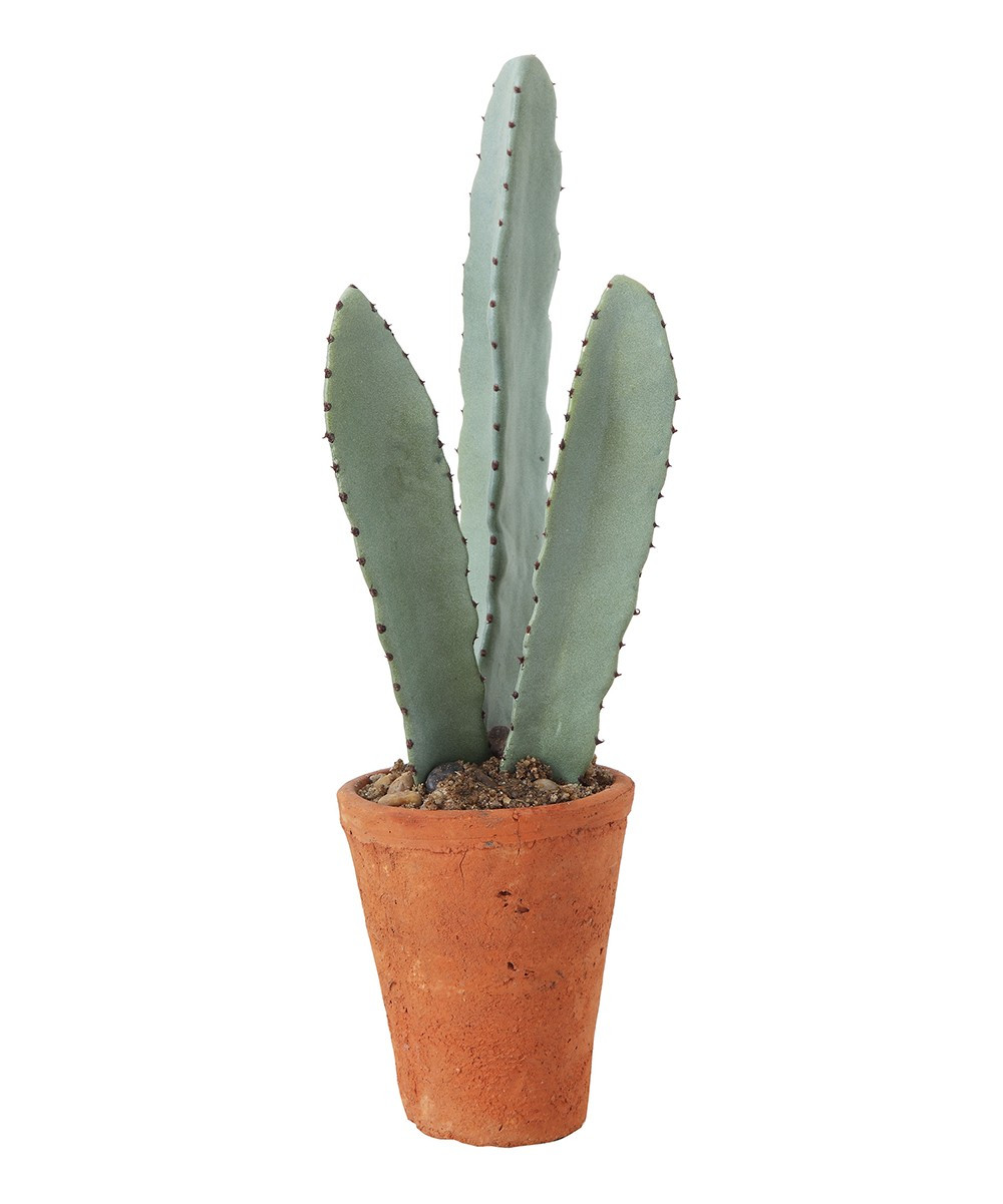 Creative Co-Op Outdoor Planters Terracotta - Cactus & Terra-Cotta Planter Arrangement | Zulily
