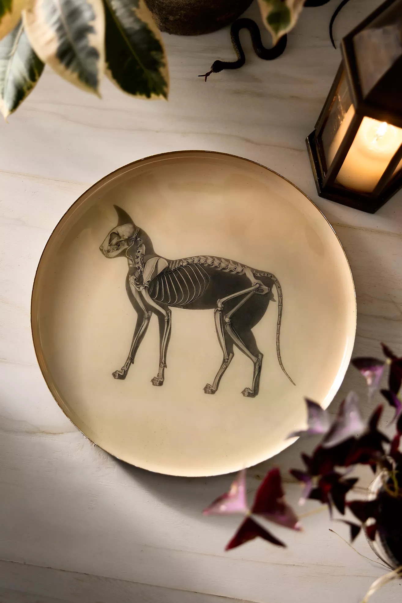 Terrain Terrain Halloween Printed Archival Tray | Anthropologie (US)