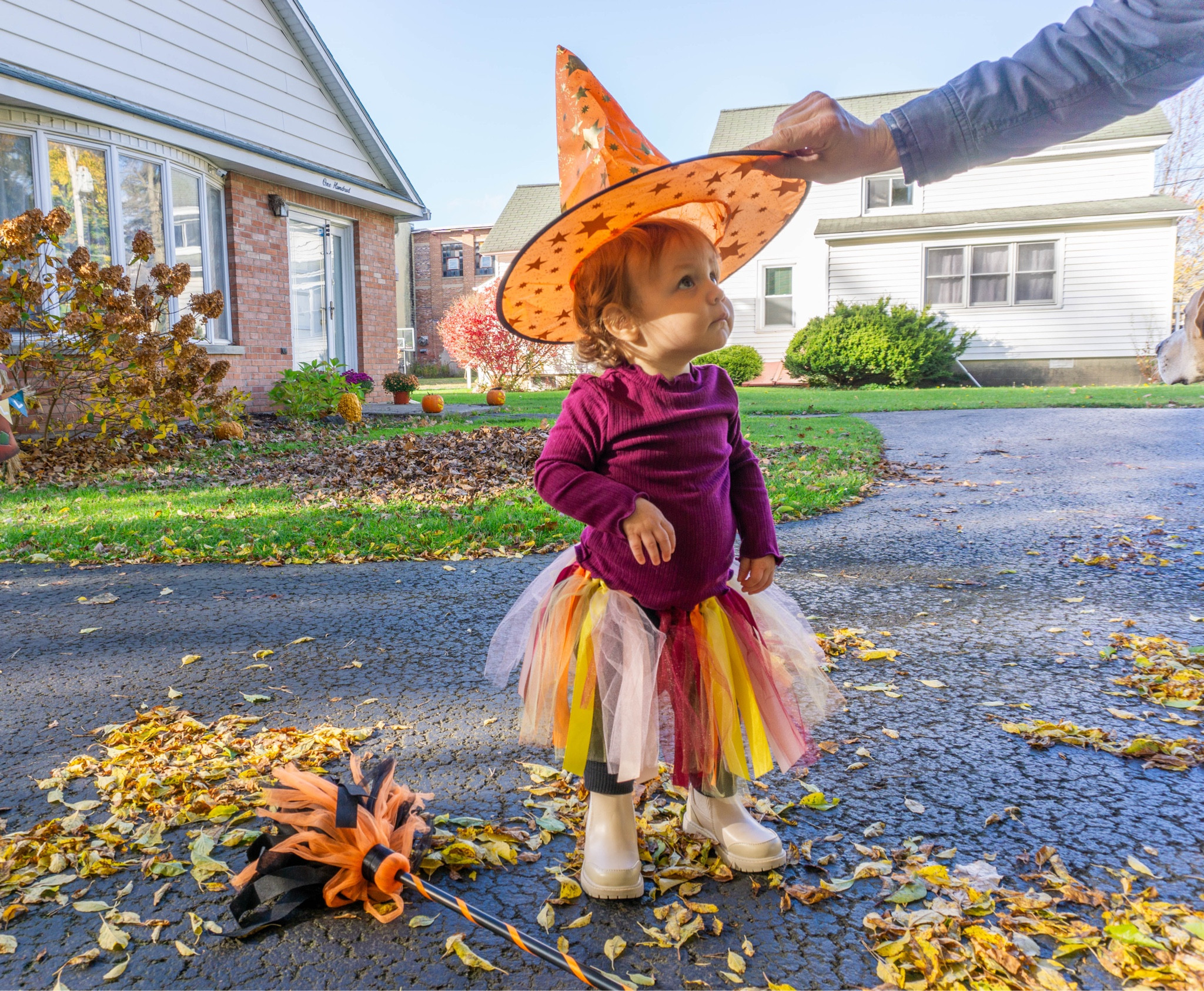 Elsa the autumnal witch 🍁✨🕯️

Witch costume, toddler girl, witch hat, witch broom

#LTKbaby #LTKHalloween