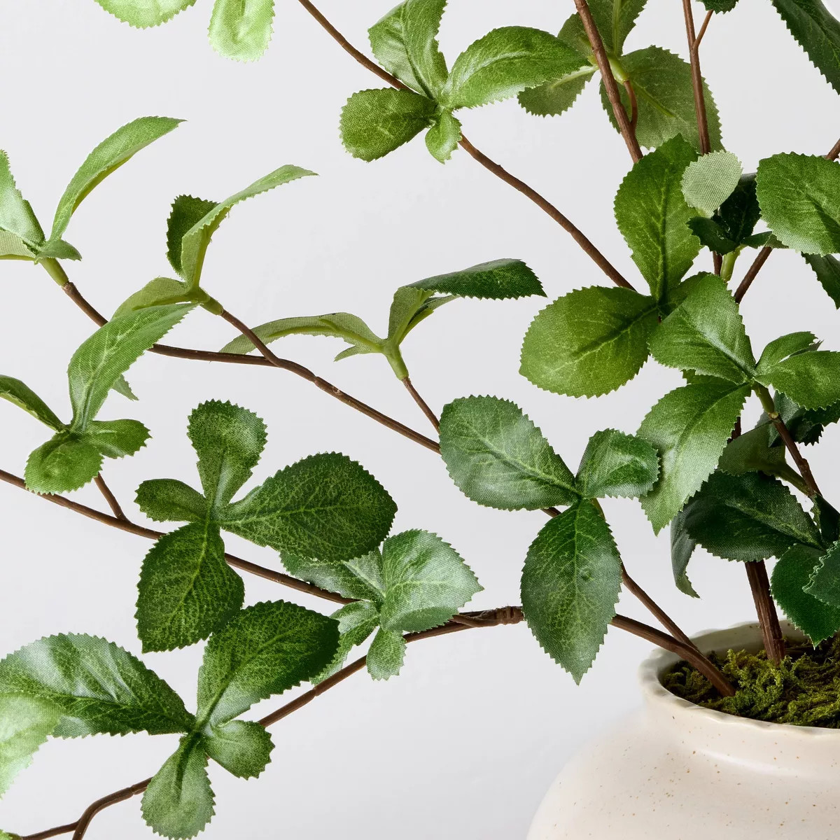 Large Green Gypsophila Artificial Plant - Hearth & Hand™ with Magnolia | Target