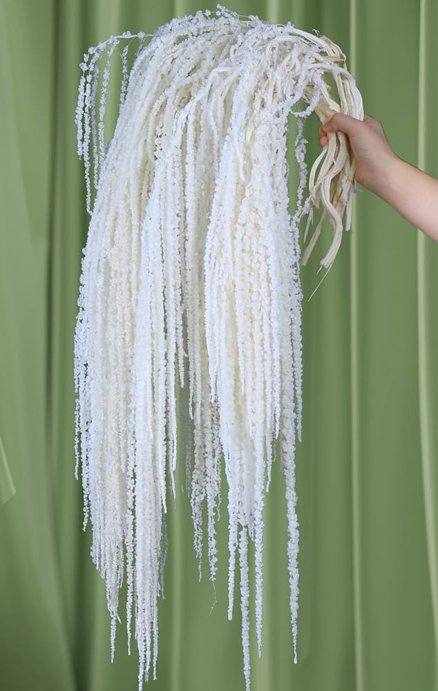 Glicrili 10Pcs Natural Dried Wisteria Hanging Flowers - 23" Bleached White Preserved Amaranthus f... | Amazon (US)
