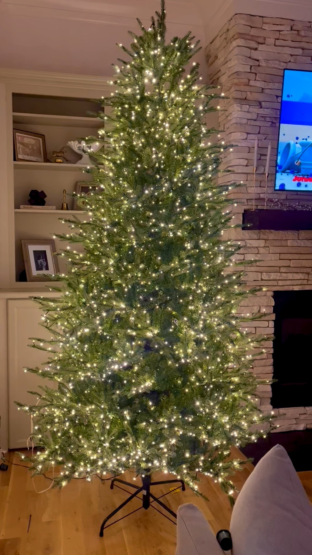 Christmas tree, viral Christmas tree, Home Depot, grand duchess

#LTKHome #LTKFamily #LTKSeasonal