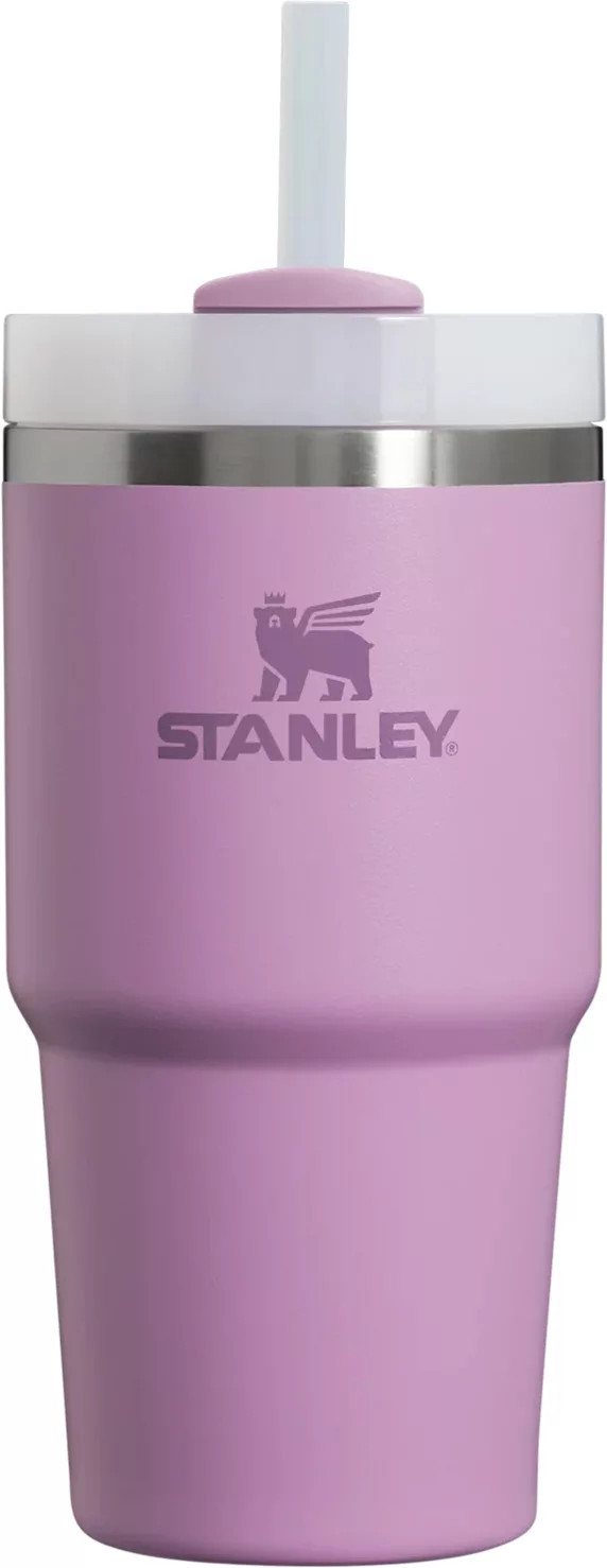 Stanley 20 oz. Quencher H2.0 FlowState Tumbler, Lilac | DICK'S Sporting Goods