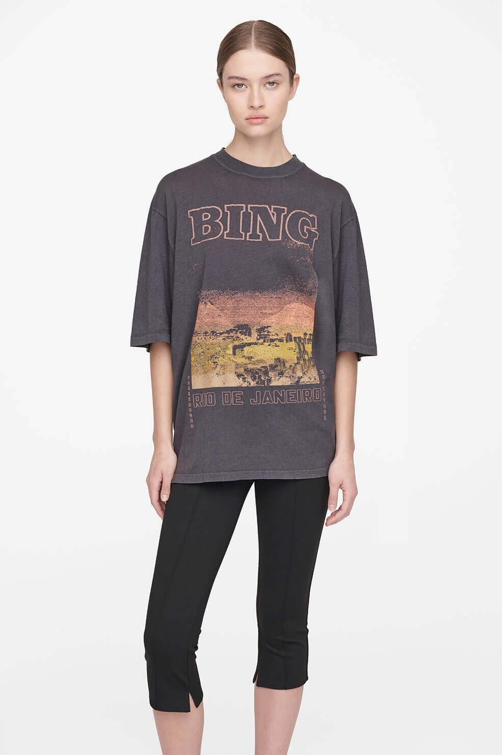 Caden Tee Rio De Janeiro | Anine Bing