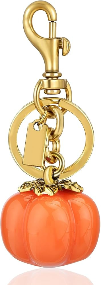 Fruit Keychain & Bag Charm Accessory Cute Purse Charm Keychain Gifts for Women | Amazon (US)