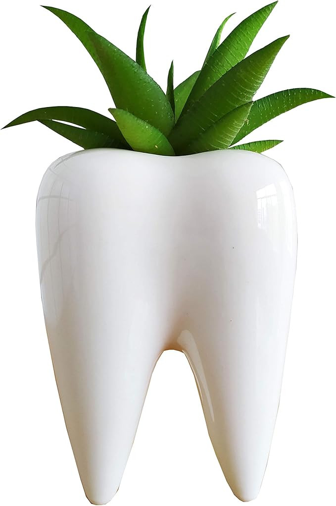 Cuteforyou 3.95 inch Cute Tooth Shaped Ceramic Succulent Cactus Flower Pot-Plants Not Included (W... | Amazon (US)