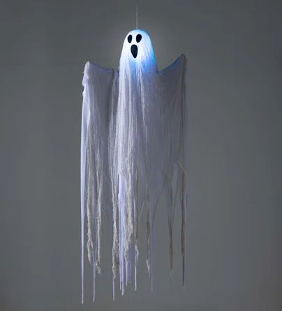 Hanging Ghost Lighted Display | Wayfair North America