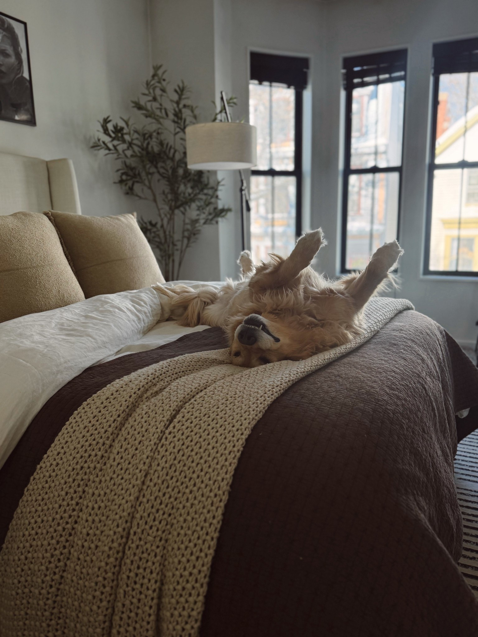 current bedding details! #bedding #homedecor 

#LTKHome