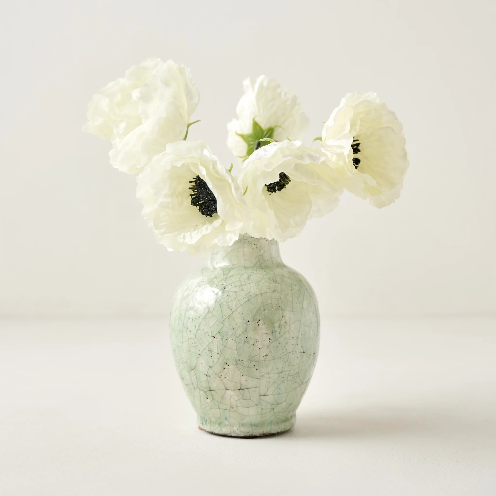 Anemone Bouquet | Magnolia