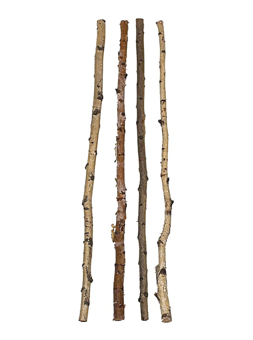 Birch Branch | House of Jade Home