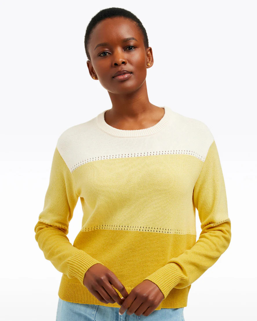Colorblock Crewneck Sweater | Draper James (US)