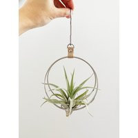 Mini Air Plant Hanger, Minimalist Holder, Hanging Planter, Gift For Plant Lover | Etsy (US)