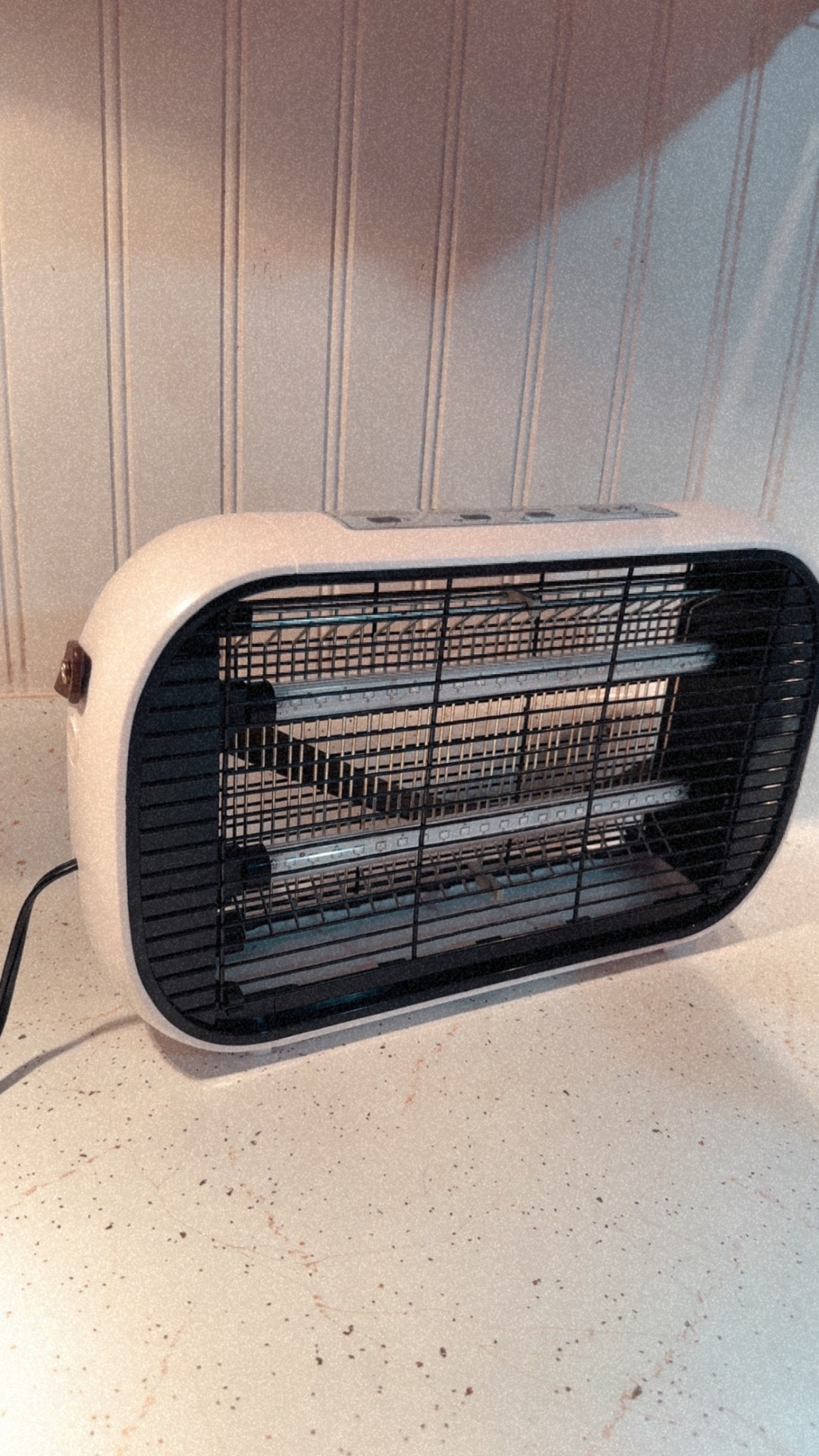 Indoor bug light 

#LTKFindsUnder50 #LTKSeasonal #LTKHome