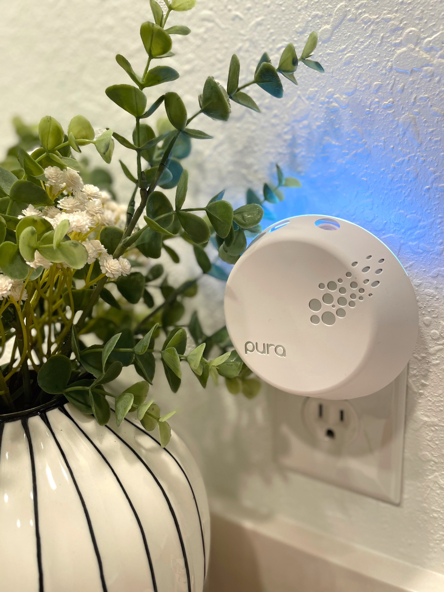 I have 2 Puras and will definitely be getting more!! They are awesome because you can put them on schedules and control them from your phone!🤍🫶🏻

#LTKhome #LTKU #LTKunder50