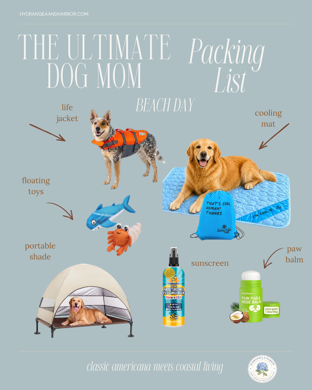 Beach day essentials for the dog Mom! 

 #LTKTravel #LTKKids