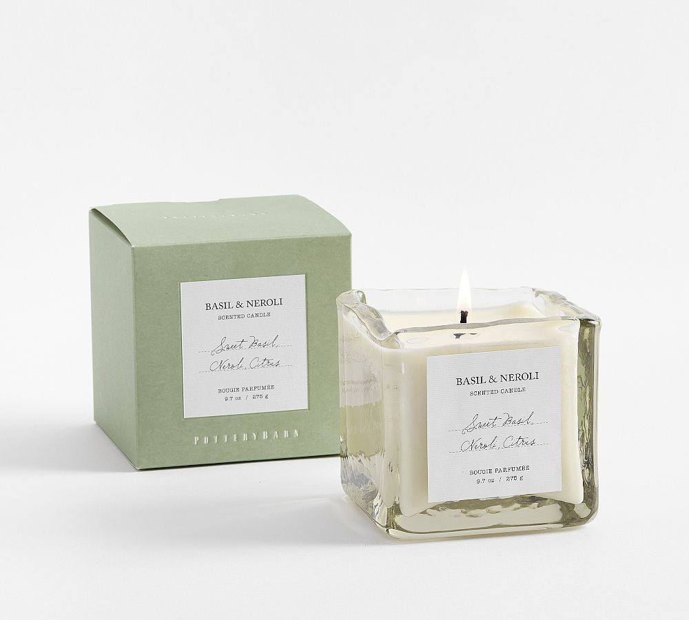 Verte Scent Collection - Cut Basil | Pottery Barn (US)
