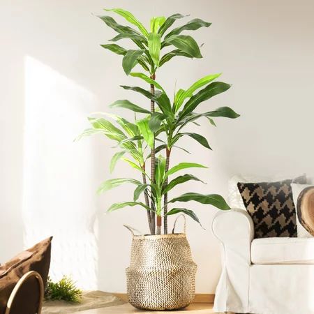 Dracaena Indoor Plant - Faux Plants Indoor Silk Plants for Home Decor Indoor Floor Plants for Living | Walmart (US)