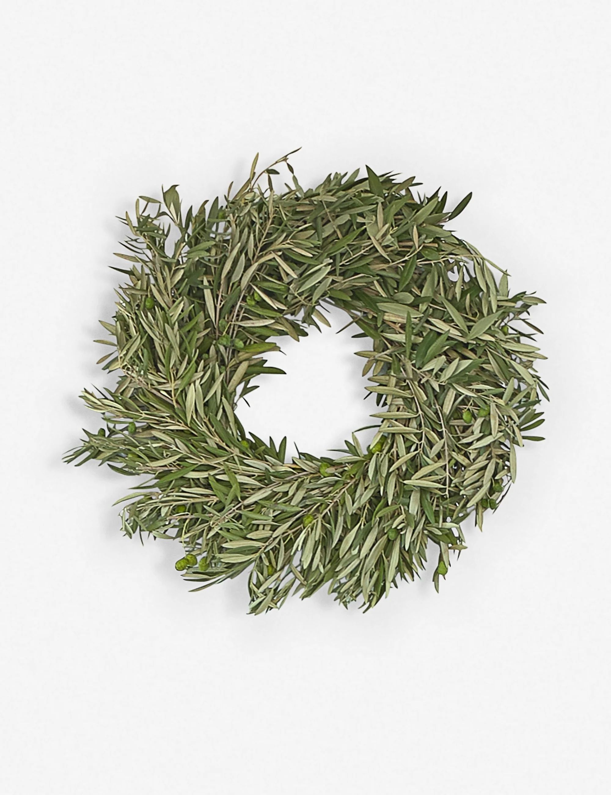 Fresh Handmade Olive Leaf Wreath 24"Dia | Lulu and Georgia 