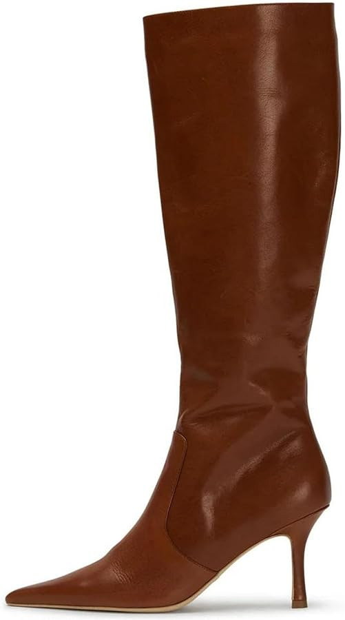 Goiphrri Knee High Boots Women Pointed Toe Tall Boots with High Heel Womens Stiletto Boots Side Z... | Amazon (US)