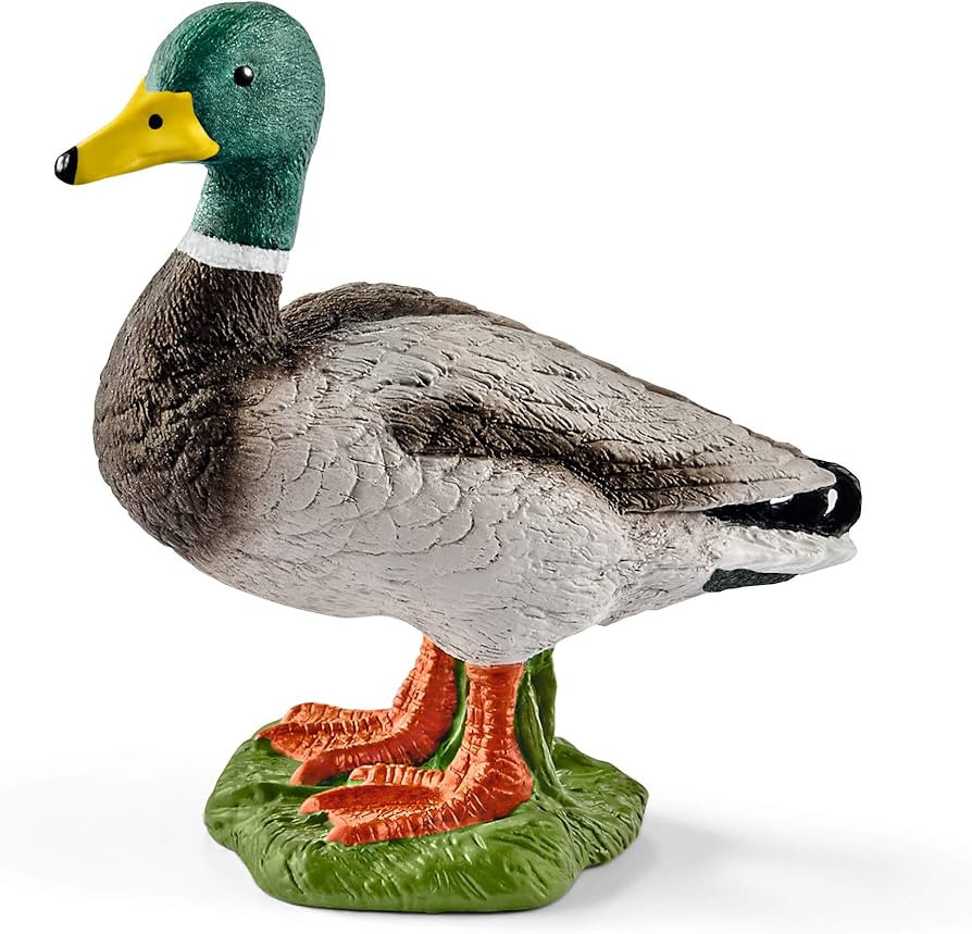 Schleich Farm World Duck Toy Figurine - Highly Detailed and Durable Farm Animal Toy, Fun and Educ... | Amazon (US)