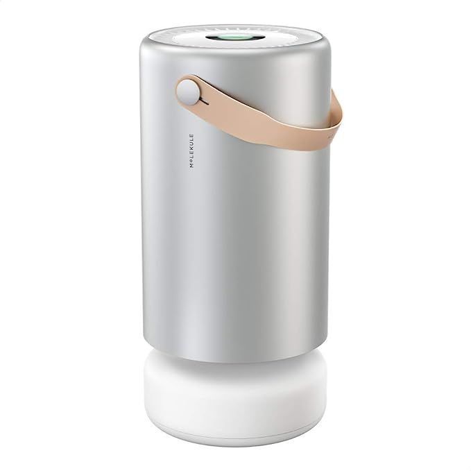 Molekule Air Pro FDA-Cleared Medical Air Purifier with PECO Technology for Smoke, Allergens, Poll... | Amazon (US)