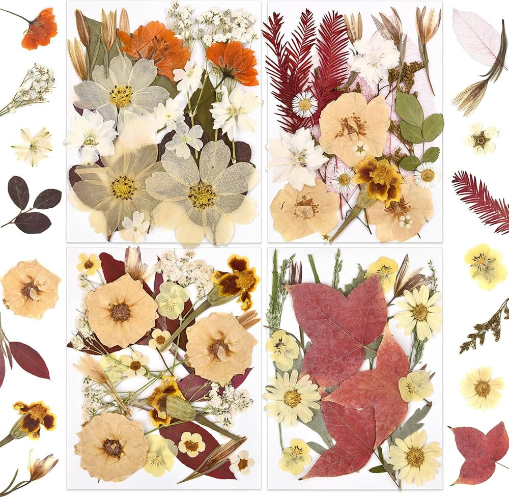 DALARAN 95Pcs Pressed Flowers Bulk Boho Fall Dried Flower Leave Natural Fall Pressed Dried Flower... | Amazon (US)