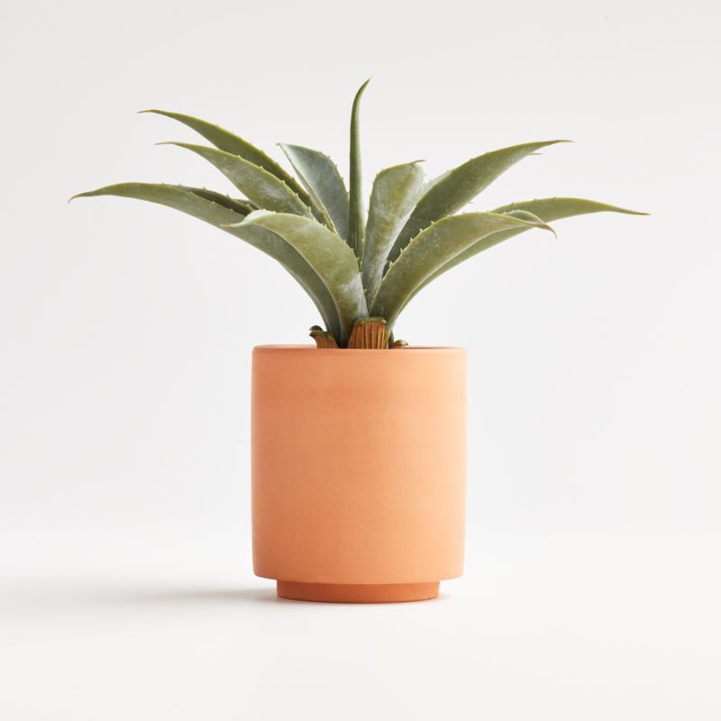 Artificial/Faux Aloe in Terracotta Pot + Reviews | Crate & Barrel | Crate & Barrel