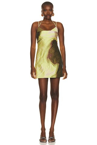 Rozlyn Mini Dress | FWRD 