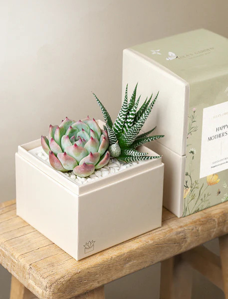 Mother's Day Glow Garden | Lula's Garden