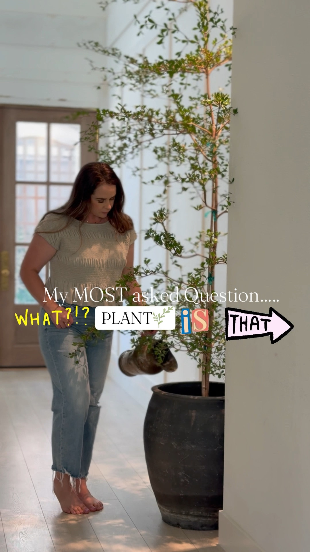 All are real! But my favorite planters around my home are listed here! 

#LTKSaleAlert #LTKHome