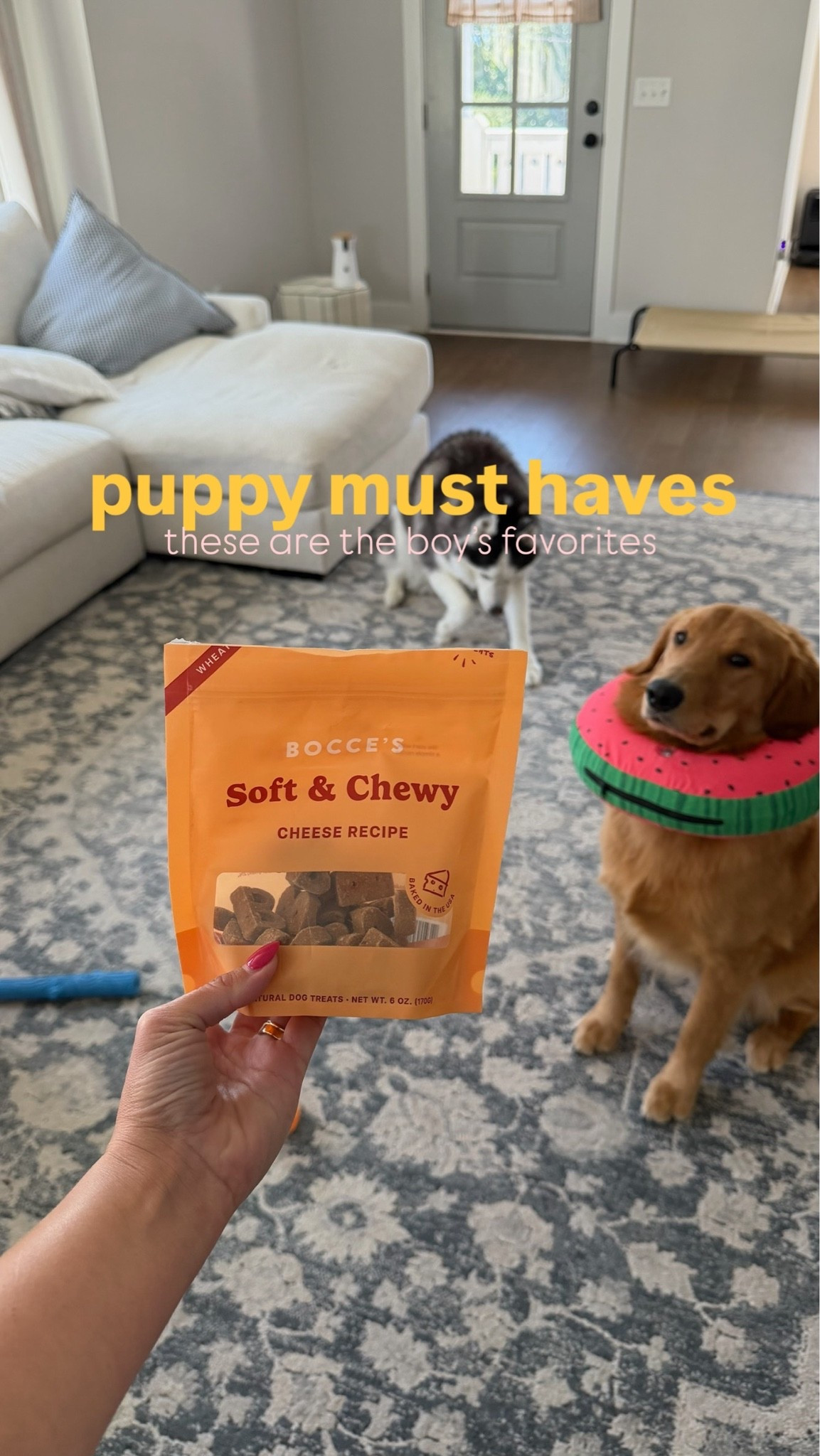 Some of the boy’s favorite treats!! 🐶🐾


Puppy care, dog food

#LTKdayinmylife #LTKgrwm #LTKootd