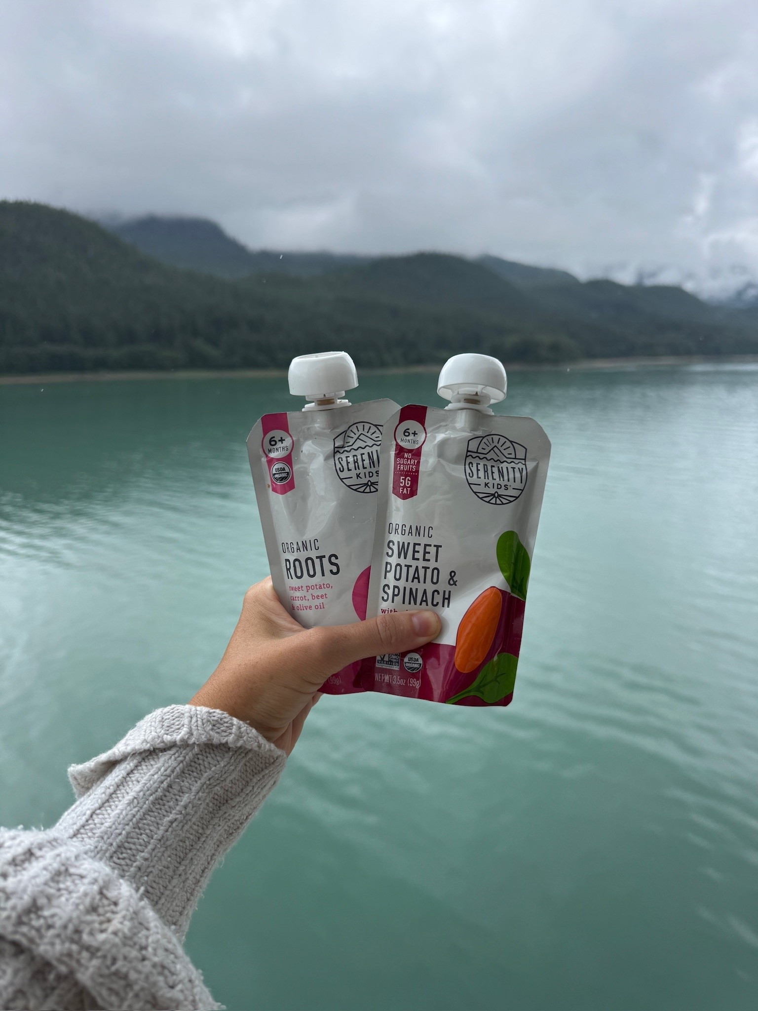 We’ve been introducing food to Capri and she’s been loving these! No sugars or preservatives! 

#LTKKids #LTKBaby #LTKFamily