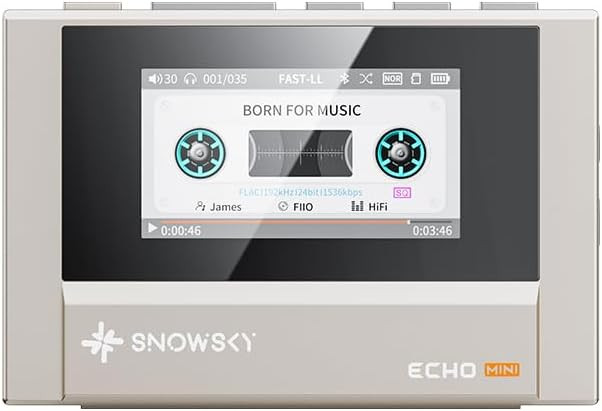 SnowSky/FiiO Echo MINI HiFi Bluetooth MP3 Player, 15Hours Playback, Independent Volume Control wi... | Amazon (US)