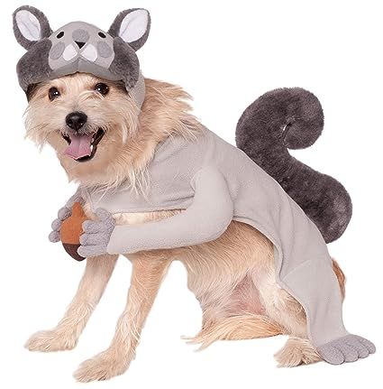 Rubies Squirrel Pet Costume | Amazon (US)