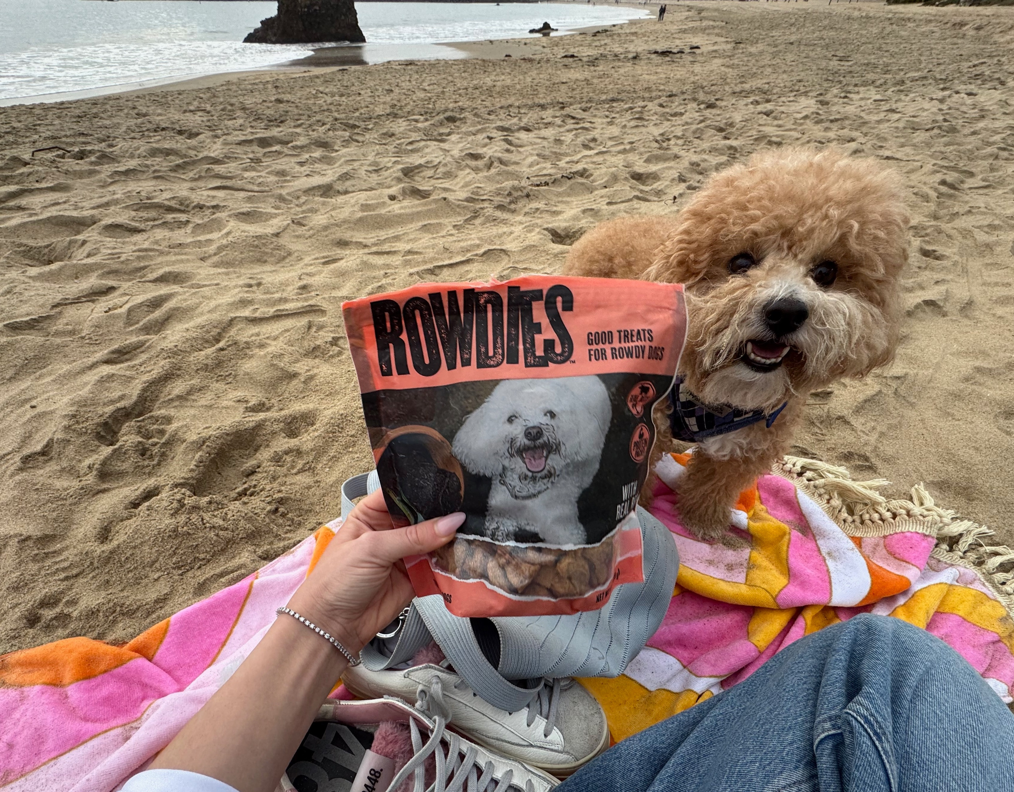 #ad our favorite kind of day <3 

@RowdiesDogTreats @Target


 #RowdiesDogTreats #RowdiesPartner #GetRowdies #TargetPartner #Target 

 