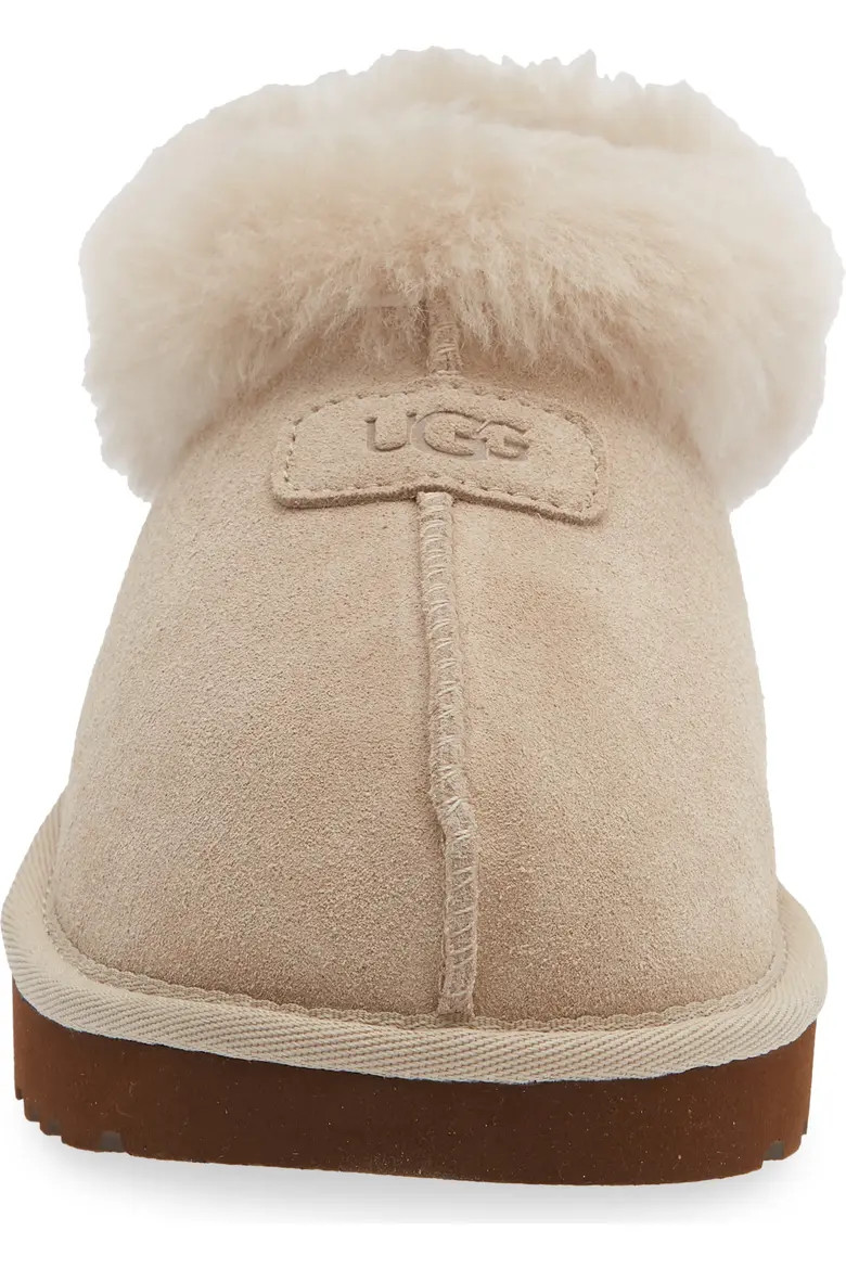 Tazzette Genuine Shearling Collar Slipper (Women) | Nordstrom | Nordstrom