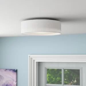 Orren Ellis Elginpark 3-Light LED Flush Mount | Wayfair | Wayfair North America