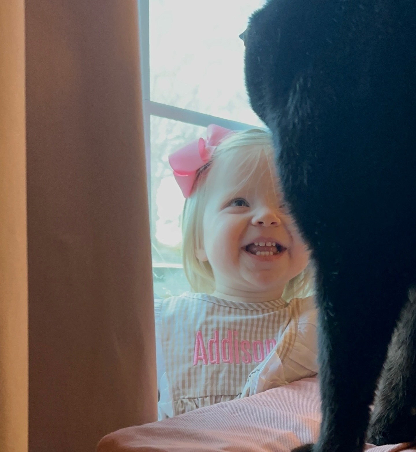 Addison’s #ootd • Literally anything goes to try to get these pics. It’s all hands on deck. @imjuststanley takes his job very seriously. 💕