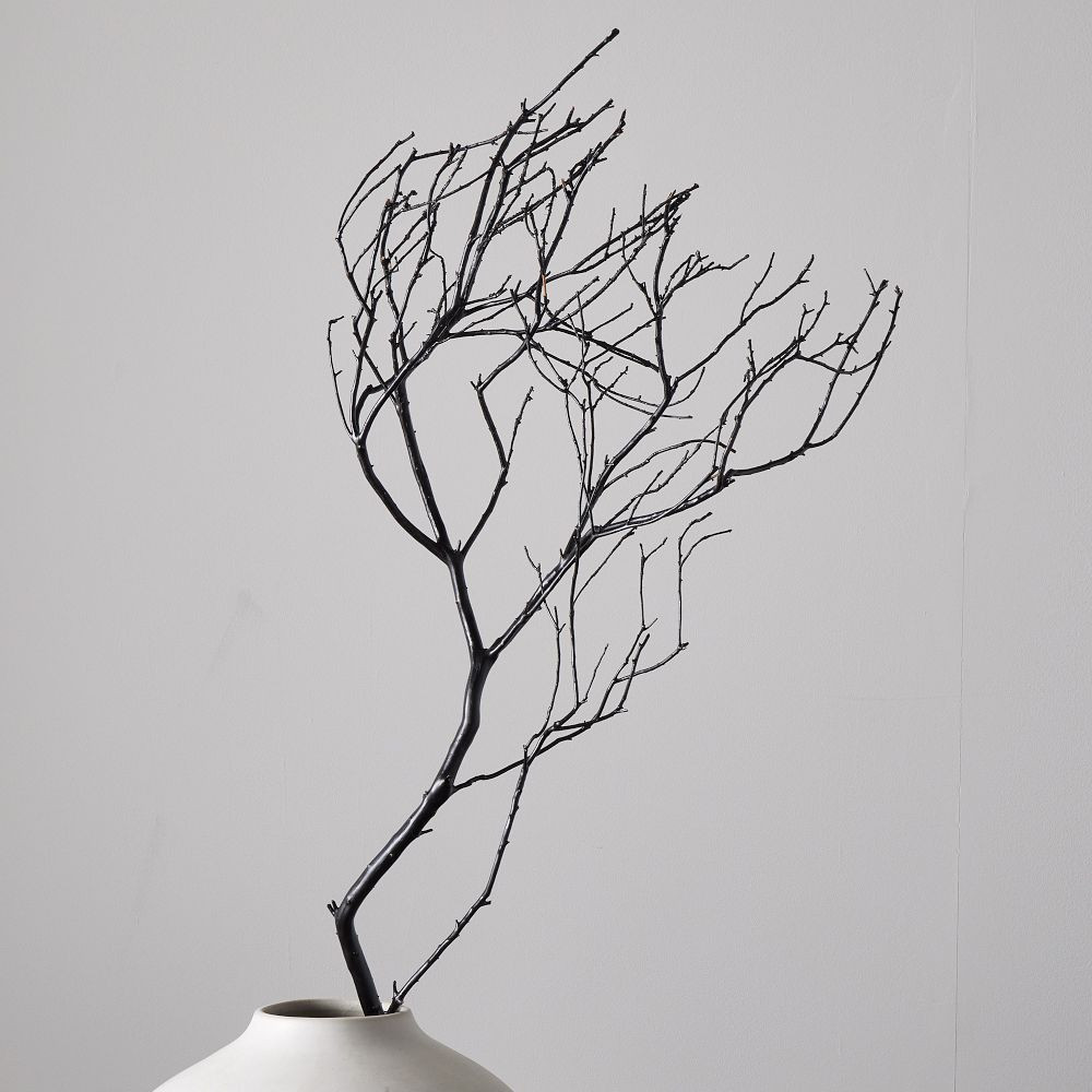 Dried Spooky Branch | West Elm (US)