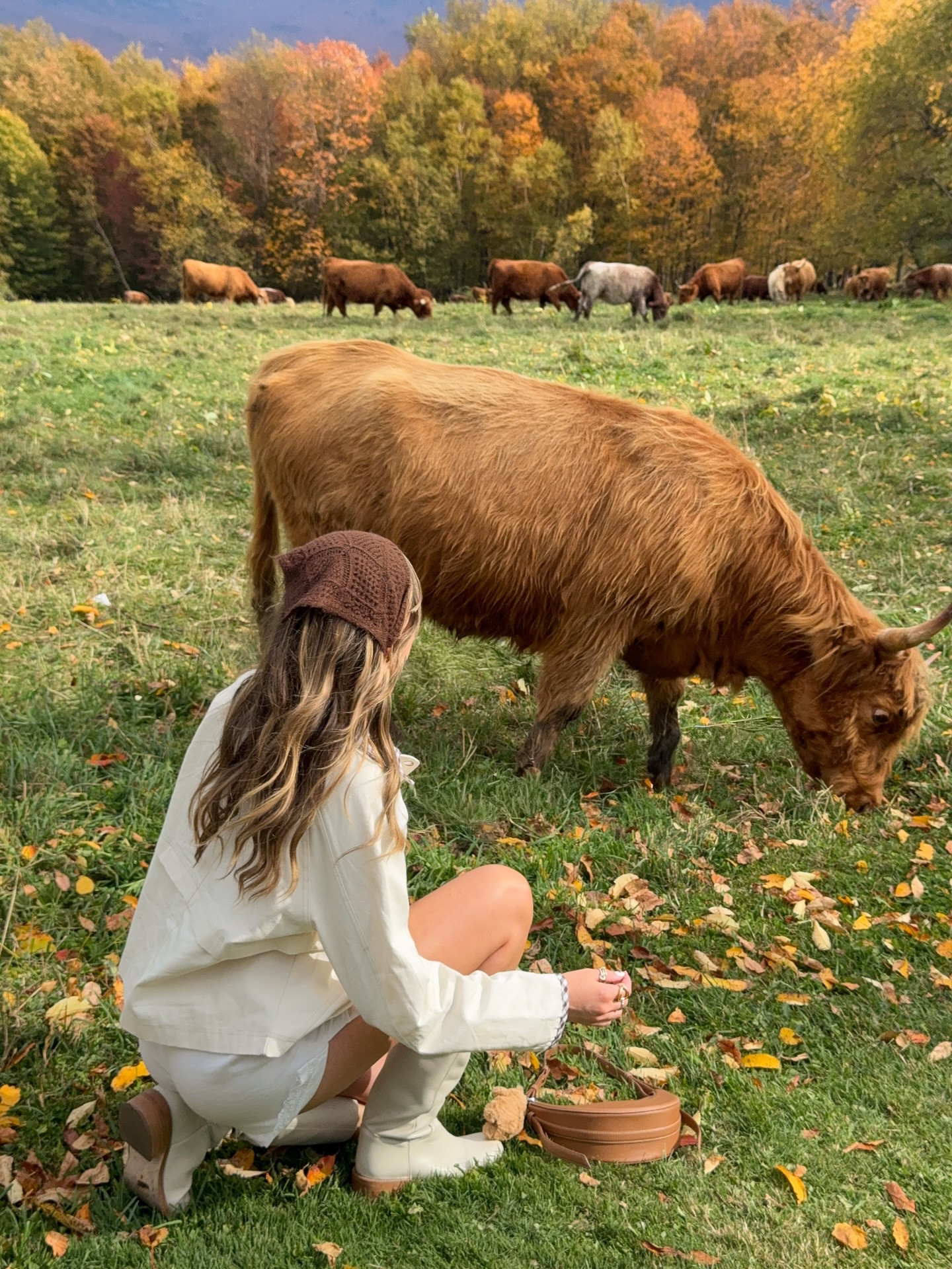 new favorite fall activity unlocked 🐮 the cows in vermont are soo precious!! 🥹🪵🍂