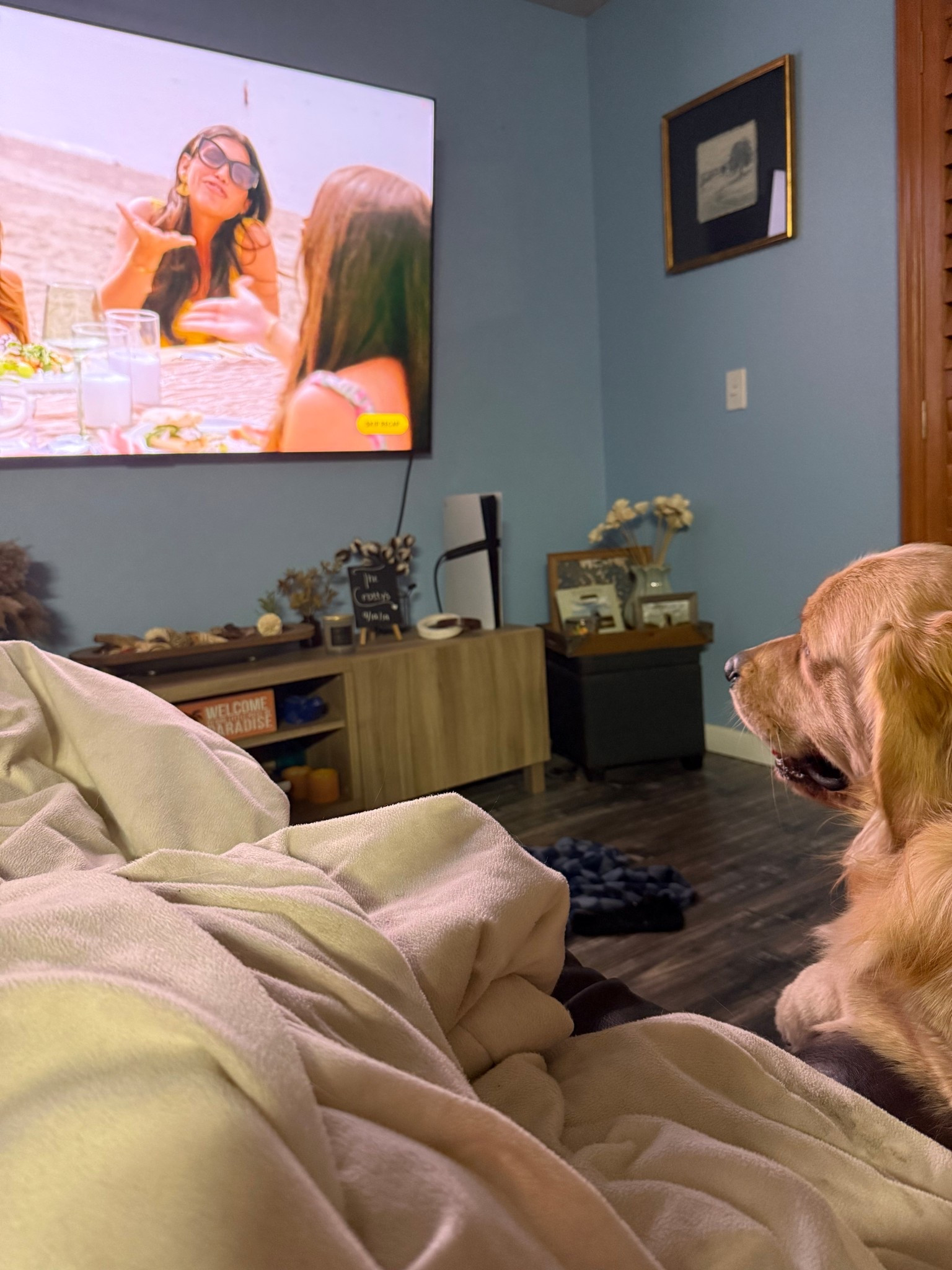 Best part of the day — Cooper and I catching up on Bravo shows🤩📺 I love that he’ll stay by me and actually watch the tv 🫶🏻


#LTKpets #goldenretriever #goldenthings #goldenretrieverthings #goldenmama #dogmom 

#LTKHome #LTKdayinmylife