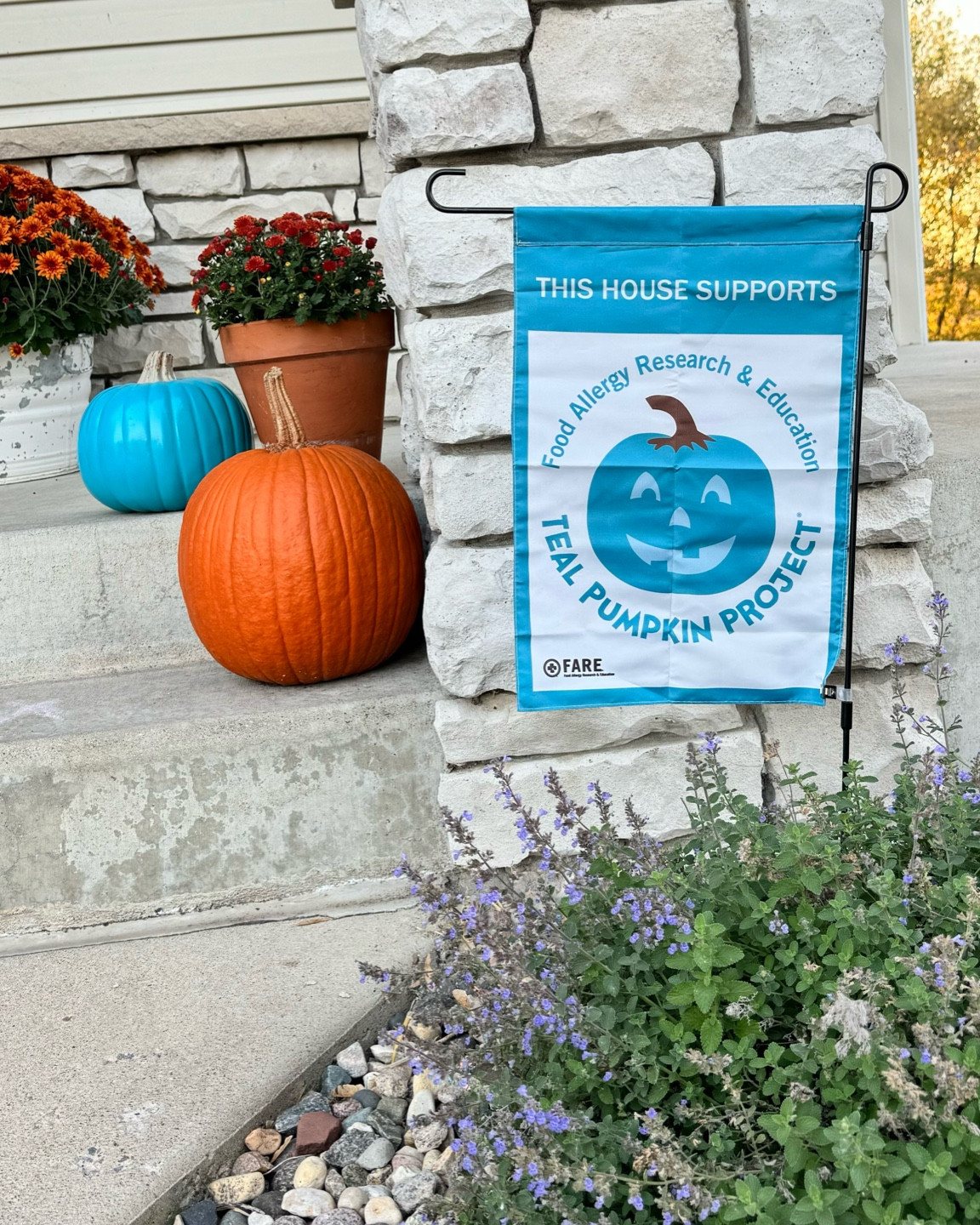 Teal pumpkin project
