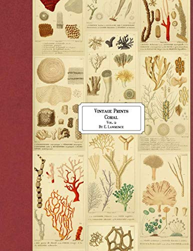 Vintage Prints: Coral: Vol. 2 | Amazon (US)