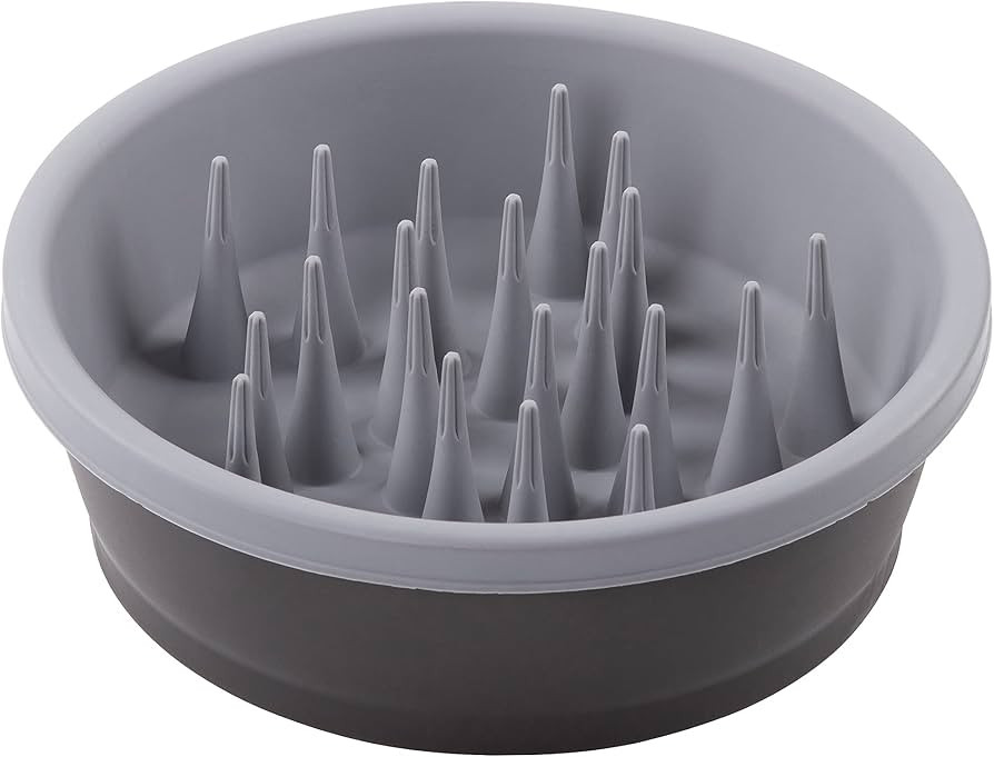 Dexas Slow Feeder Dog Bowl for Healthier Digestion, Teeth and Gums, 6 Cup Capacity, Gray | Amazon (US)