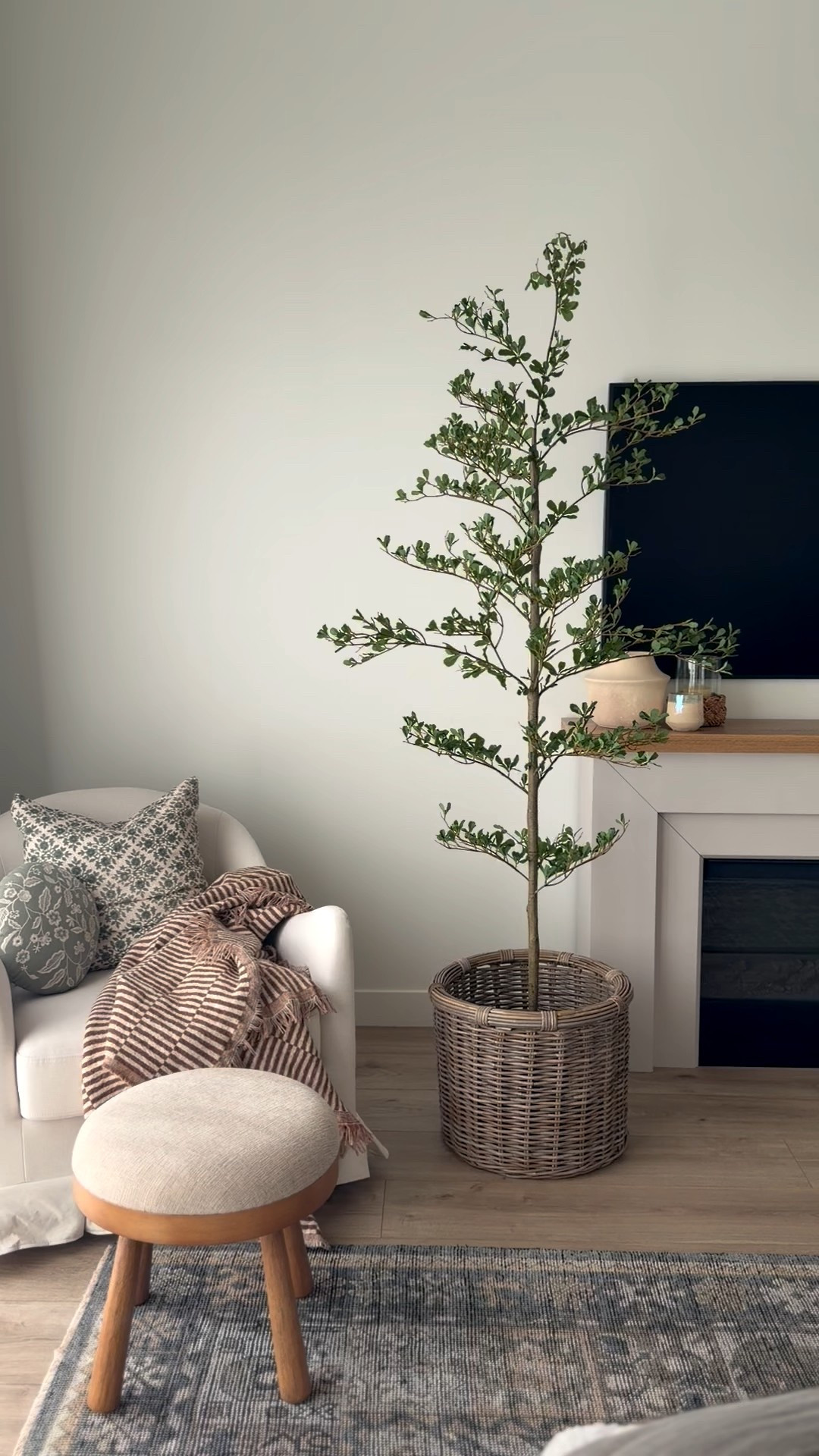 The prettiest, realistic olive tree. On sale now! 

#LTKHome #LTKFindsUnder100 #LTKSaleAlert