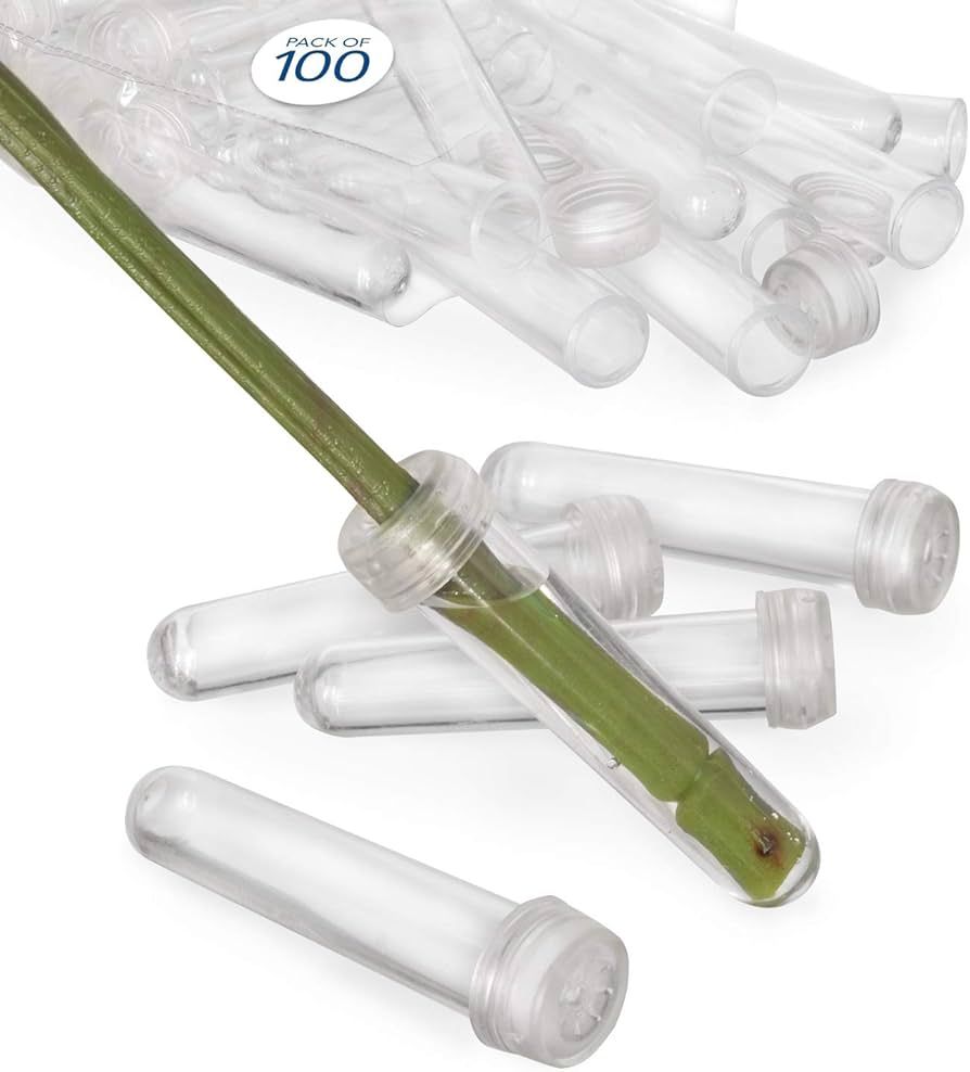 Floral Water Tubes/Vials for Flower Arrangements by Royal Imports, Clear - 3" (1/2" Opening) - St... | Amazon (US)